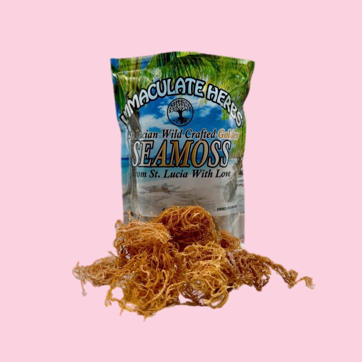 St. Lucian Golden Sea Moss 16 oz