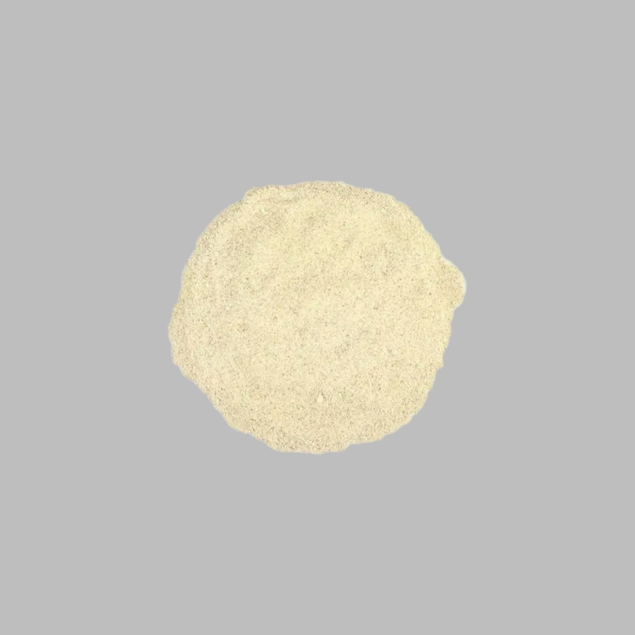 Angelica Root Powder - 2 oz – Bismillah Herbal Way