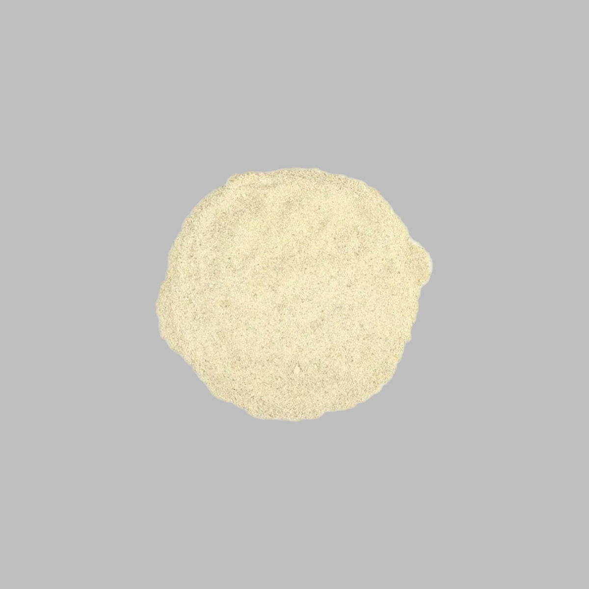 Angelica Root Powder - 2 oz
