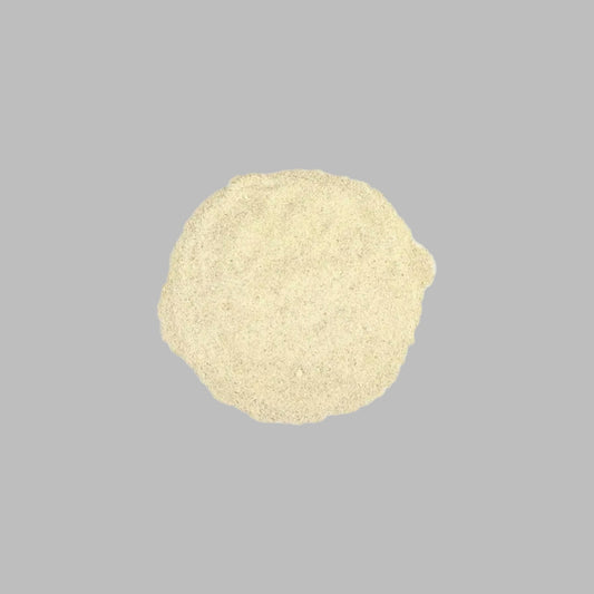 Angelica Root Powder - 2 oz