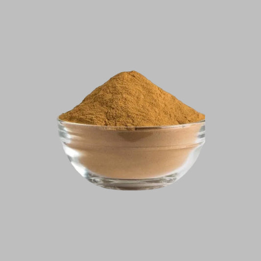 Reishi Mushroom Powder  - 2 oz