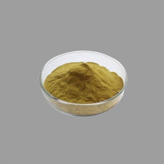 Echinacea Powder - 2 oz