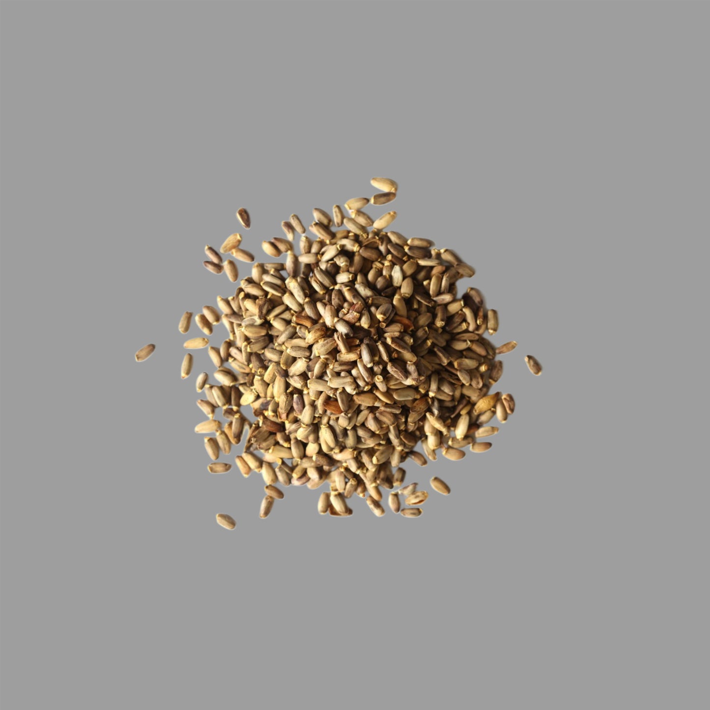 Milk Thistle Seed - 2 oz