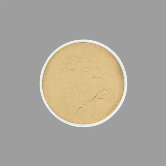 Oyster Powder - 2 oz