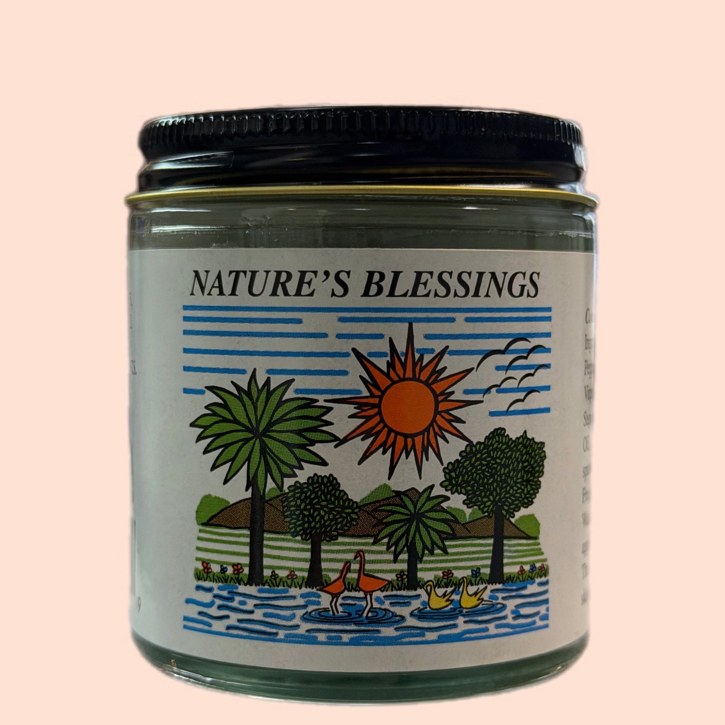 Nature's Blessings - Hair Pomade