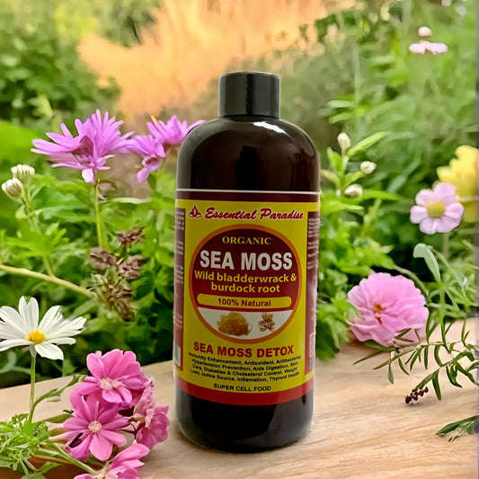Sea Moss Living Bitters